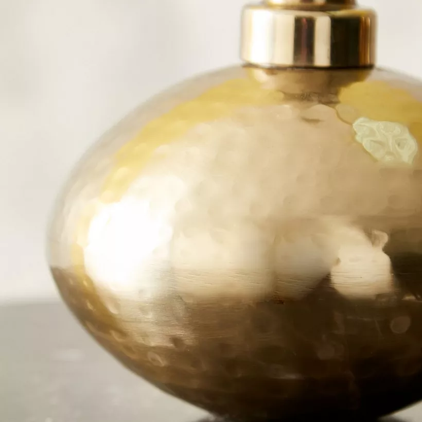 soap and lotion dispenser